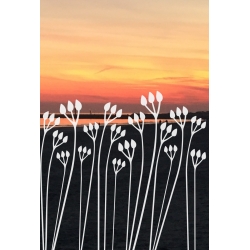 ROS56 50x47 naklejka na okno wzory roślinne - trawy i łączki